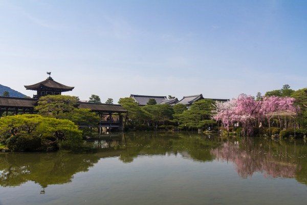 水京都花园护理